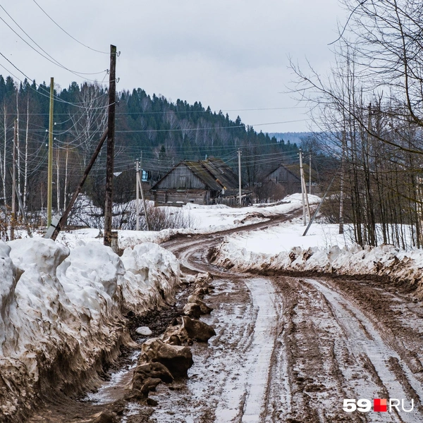 Источник: Тимофей Калмаков / 59.RU