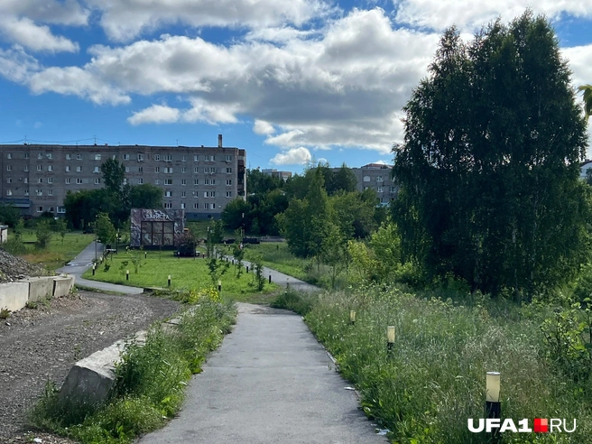 Парк на городском пруду | Источник: Андрей Бирюков / UFA1.RU