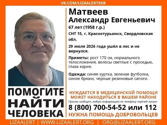 Источник: волонтерский отряд «ЛизаАлерт»