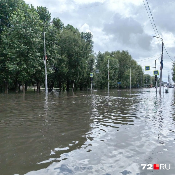 Источник: Павел Красоткин / 72.RU