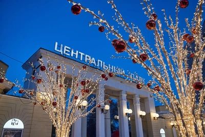 Пять главных новостей Новосибирска 31 декабря