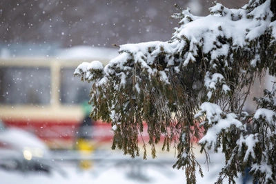 Emergency warning issued for rain, snow, and ice in Krasnodar Krai