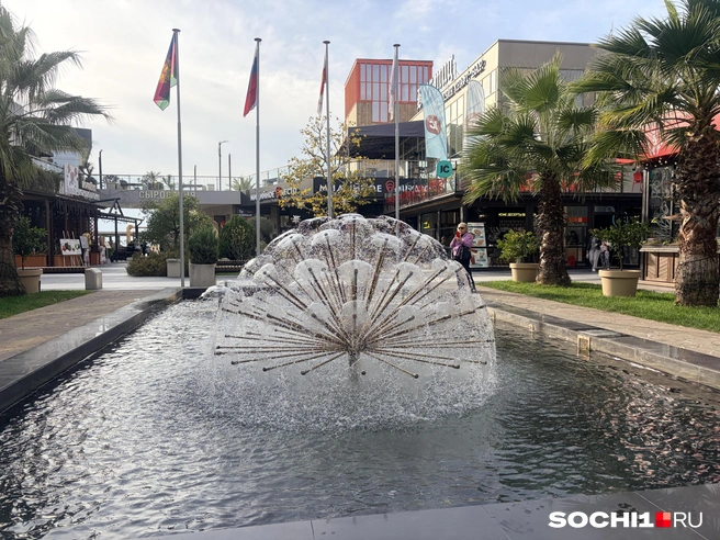 Фонтан на зиму не выключают | Источник: Анна Грицевич / SOCHI1.RU