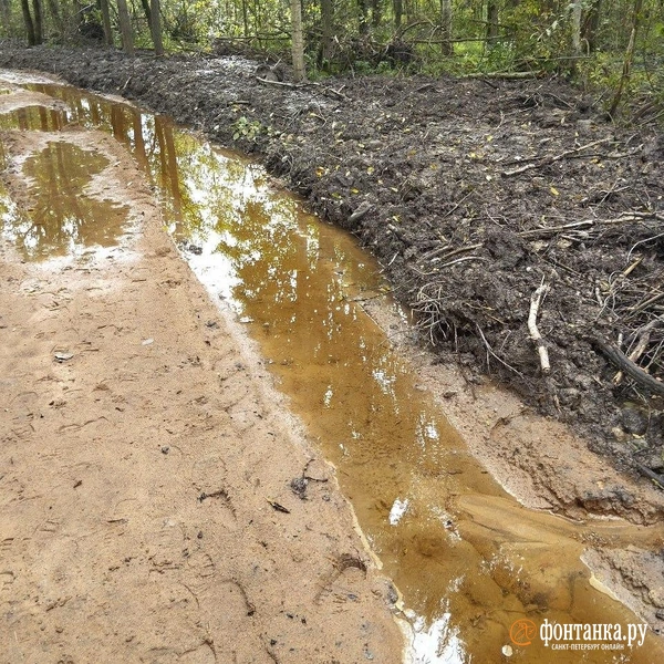 Источник: Ольга Ясененко