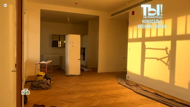 Источник: кадр из программы «Ты не поверишь!» (16+), НТВ, 2025 год