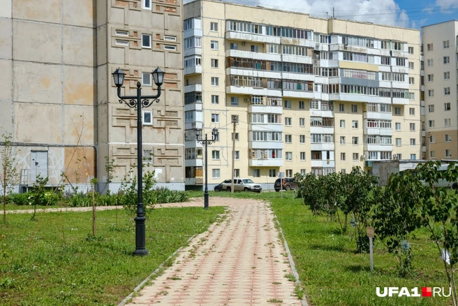 В 2022 году здесь высаживали деревья