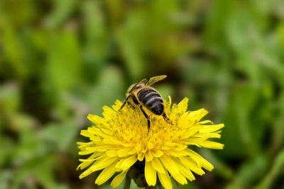Рязанский округ: ночная обработка полей пестицидами