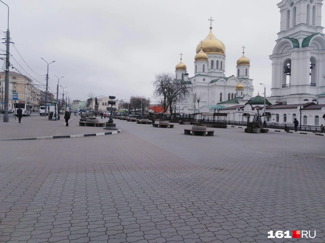 Воспользоваться удаленным форматом работы не по назначению получалось не у всех | Источник: читатель 161.RU