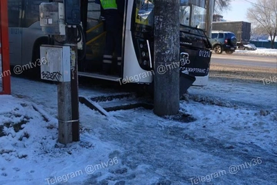 Полиция рассказала о водителе автобуса, врезавшегося в столб