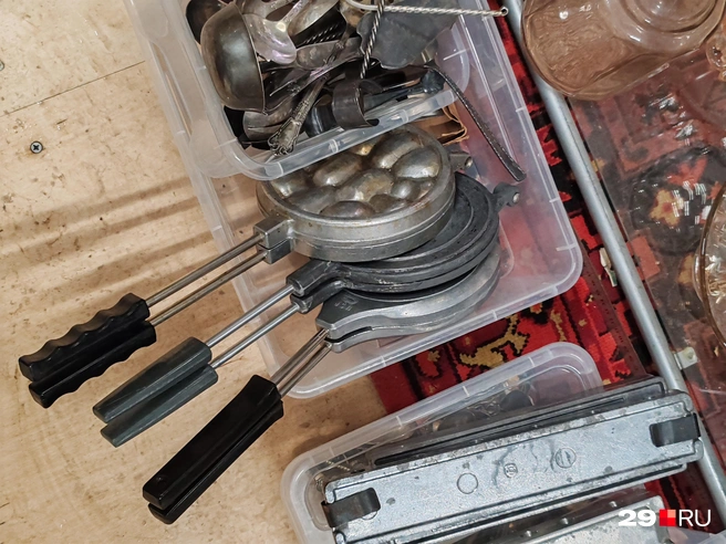 Источник: Елена Ионайтис / 29.RU