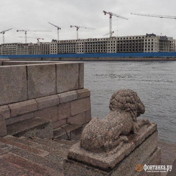 Источник: Михаил Огнев / «Фонтанка.ру»