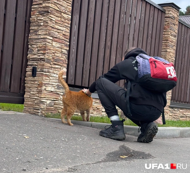 А это какой-то кот возле какого-то особняка в Звенигороде, под Москвой | Источник: Андрей Бирюков / UFA1.RU