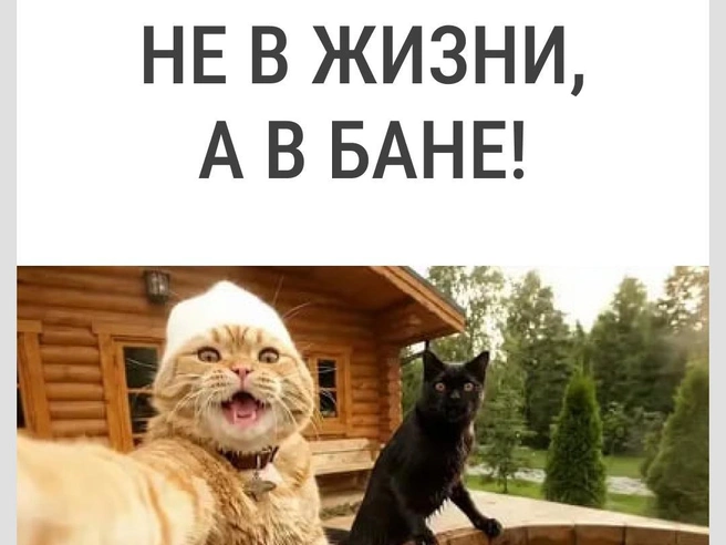 Отличный девиз! | Источник: Городские медиа