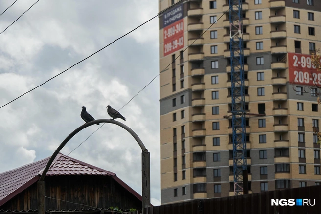 В сквере, по словам местных жителей, часто дежурит Росгвардия, но журналистам НГС из смотрящих встретились только собаки и голуби | Источник: Александр Ощепков / NGS.RU