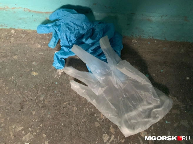 Рядом брошены одноразовые перчатки | Источник: Анна Лялькова / MGORSK.RU