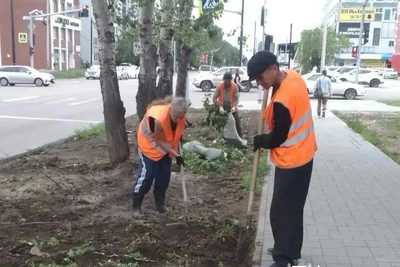 Газоны в Благовещенске обновили гидропосевом и вручную с мая