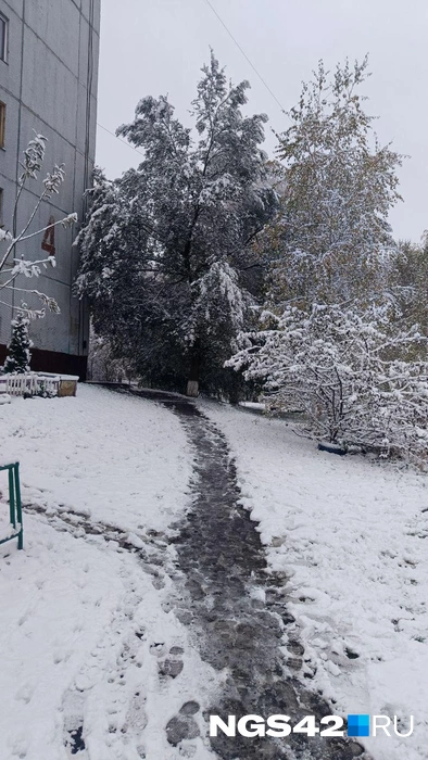 Дорога до работы сегодня была приятно красивой | Источник: Елена Гуськова / NGS42.RU