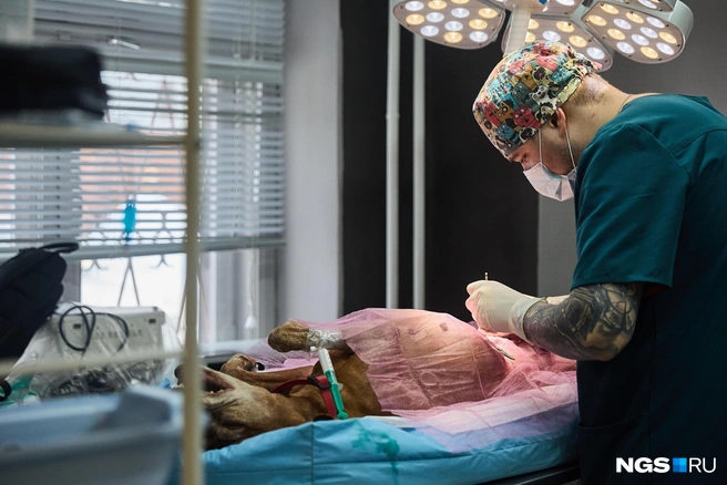 В больнице работают профессиональные хирурги | Источник: Александр Ощепков / NGS.RU