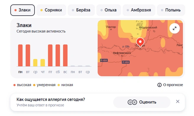 Более всего активны злаковые и полынь  | Источник: «Яндекс Погода»