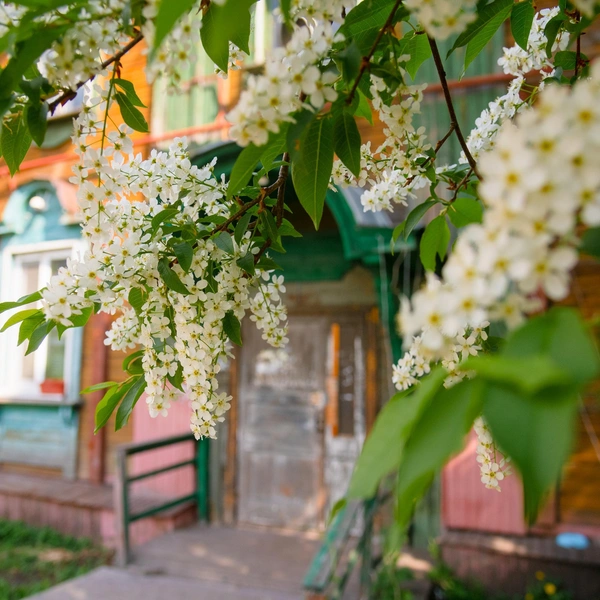Источник: Ivan Mityushev