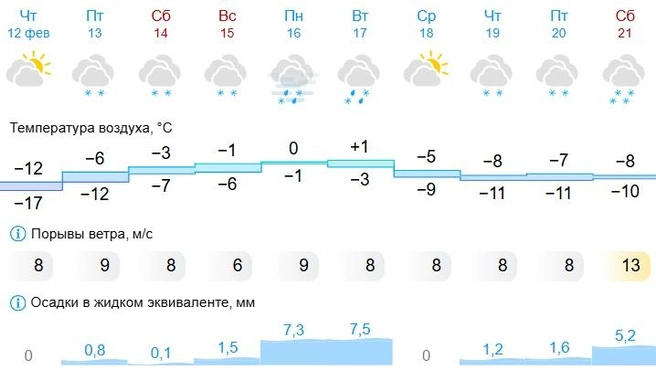 Больше всего осадков выпадет 17 февраля | Источник: Gismeteo