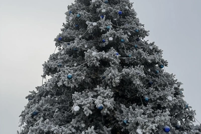 В Якутске на Новый год прогнозируют потепление