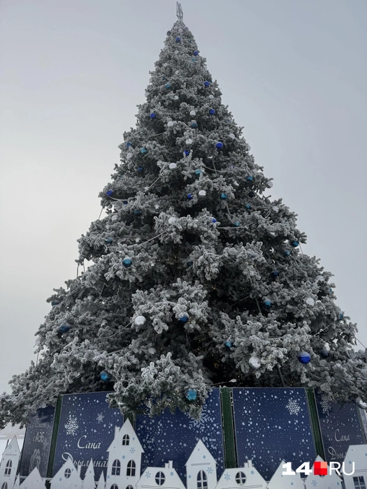 Елка на площади Республики | Источник: Ольга Донская / 14.RU