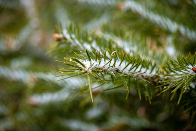 Приморье ждет три теплых дня в конце недели