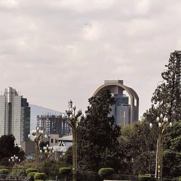 Пейзажи Аддис-Абебы  | Источник: Людмила Ивушкина / «Будни директора зоопарка» / Telegram