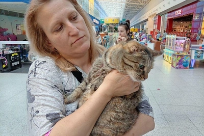 «Два кота уже нашли дом»: ярмарка «День Хвоста» в Новосибирске