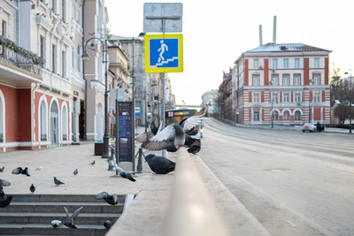 Среда в Приморье: туман, изморозь и минус