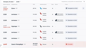 Ситуация во Внуково | Источник: vnukovo.ru