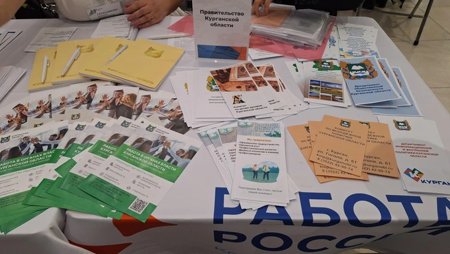 В различные органы власти и подведомственные учреждения также требуются специалисты | Источник: Александр Лисихин / 45.RU 
