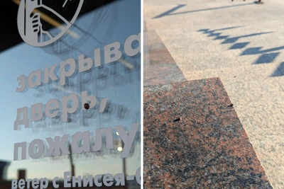Красноярцы встревожены нашествием божьих коровок