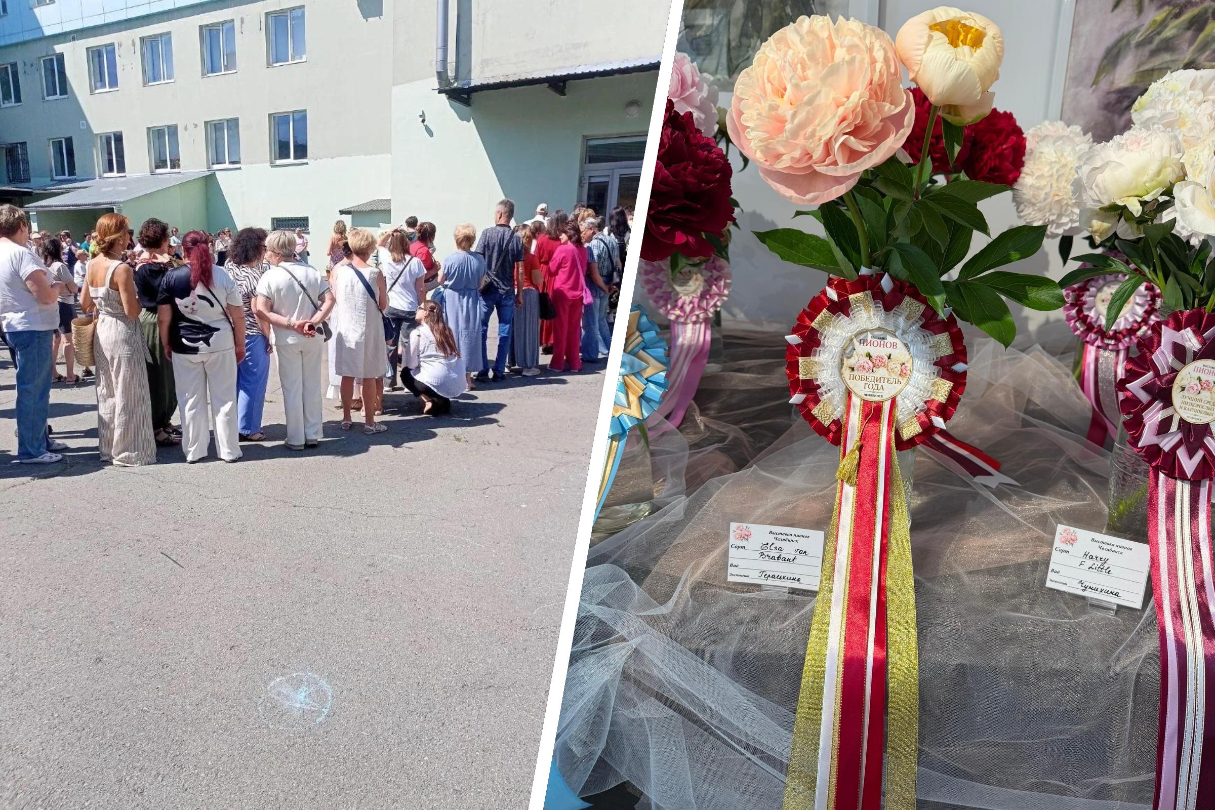 Челябинцы выстроились в очередь, чтобы посмотреть на сотни пионов (один цветок стоит 140 тысяч)