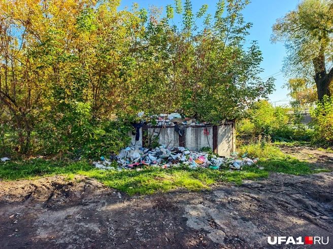 Мусорка на берегу озера | Источник: Булат Салихов / UFA1.RU