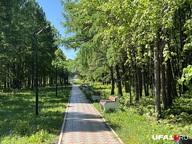 Полноценный парк | Источник: Андрей Бирюков / UFA1.RU
