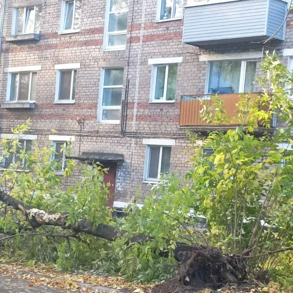 Источник: читатель 59.RU