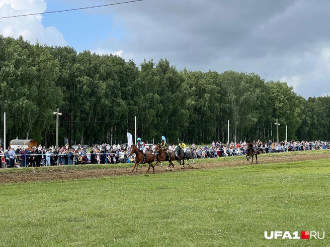Хитрые жокеи | Источник: Андрей Бирюков / UFA1.RU
