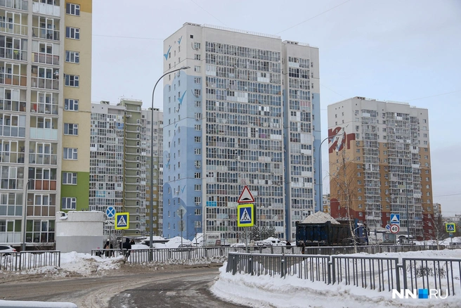 В ЖК 24 дома | Источник: Наталья Бурухина / NN.RU