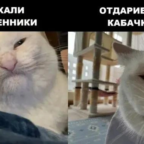Источник: соцсети