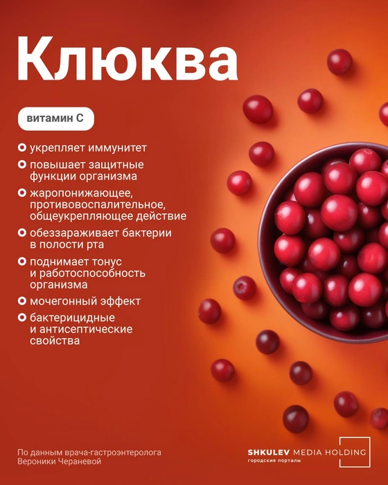 Клюква прекрасно сохранит свои полезные свойства хоть в замороженном, хоть в засушенном состоянии | Источник: Полина Авдошина / Городские порталы