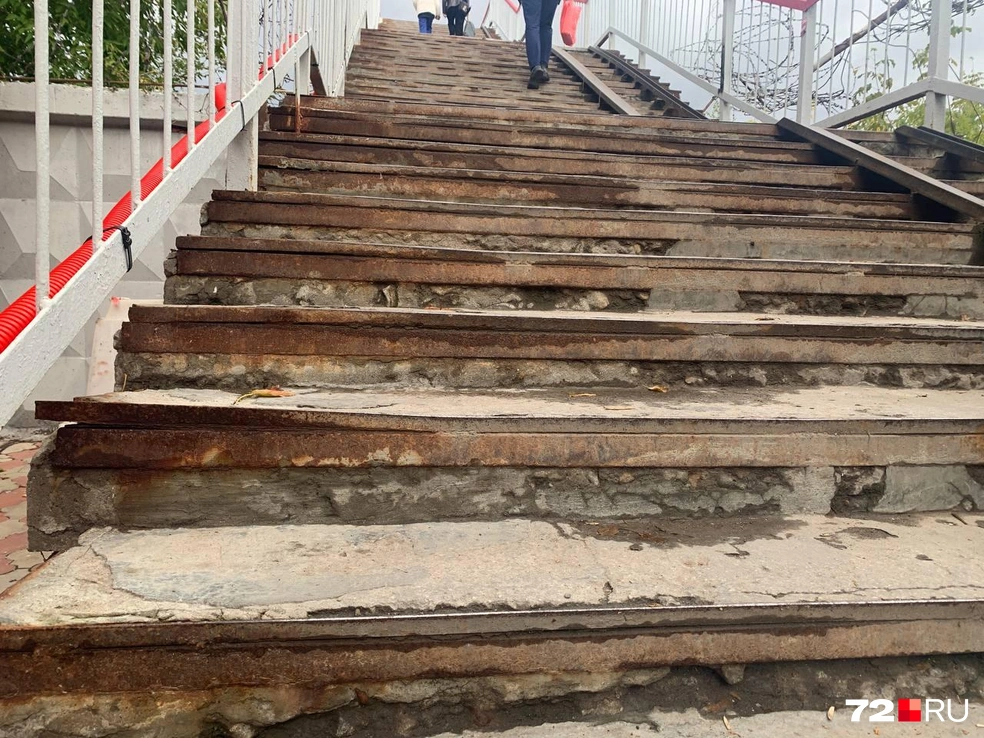 Сойдет | Источник: Никита Кифорук / 72.RU