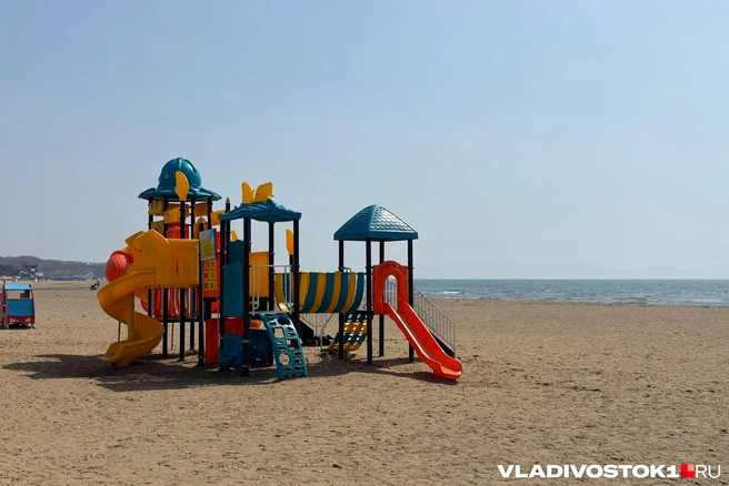 Физической силы никто не применял | Источник: Елена Буйвол / VLADIVOSTOK1.RU