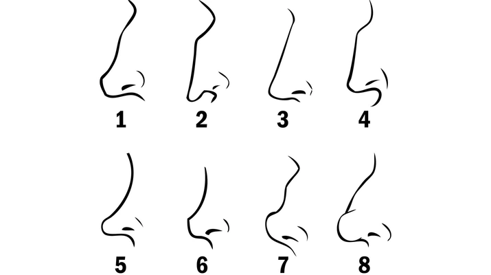 Тест: выберите форму своего носа, а мы раскроем все тайны вашего характера