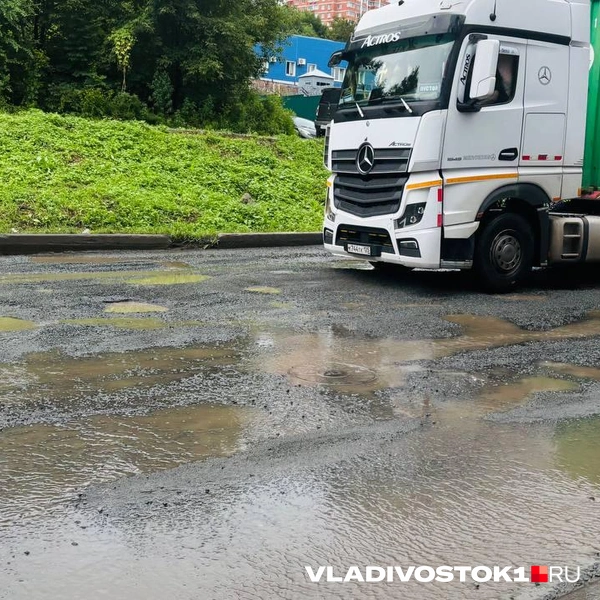 Источник: Елена Буйвол / VLADIVOSTOK1.RU