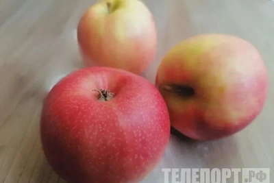 Яблоки за 1000 руб/кг на Чукотке удивили вице-премьера Трутнева