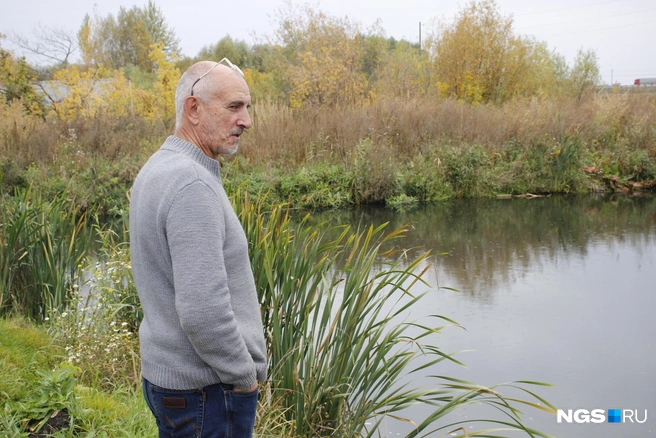 Небольшой пруд естественного происхождения рядом с фермой был изначально. Если запустить туда рыбу, можно звать гостей с удочками | Источник: Стас Соколов/NGS.RU