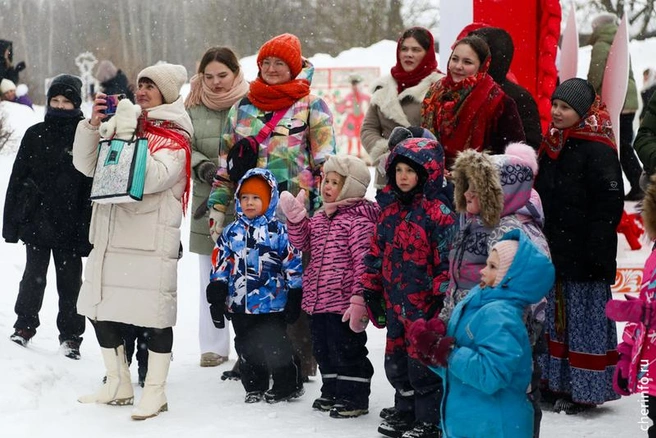 Источник: st.cherinfo.ru