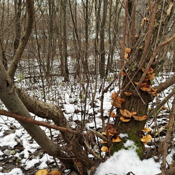 Источник:  Павел Глазков/ «Каждой твари по паре» 